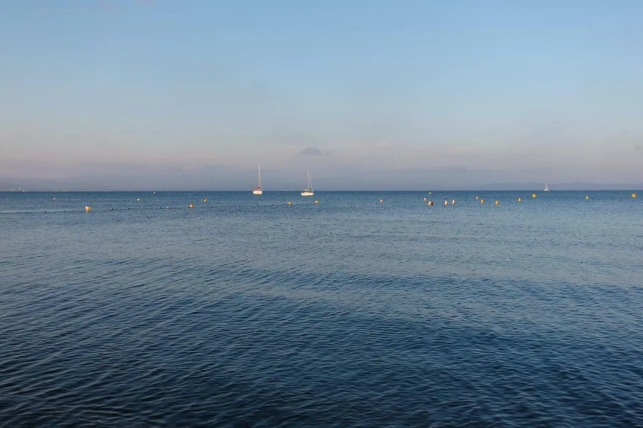Appartement 6 Personnes Vue Mer 30 M De La Plage Hyères